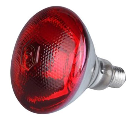 240V Infrarød Varmelampe Fjerkræ Rugemaskine Kyllinger Vandtæt Udklækning Hvalpe Grisunge Pære Ny