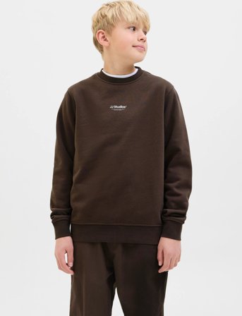 Jack & Jones Jjesoho Sweat Crew Neck Sn Jnr - Brown - 176