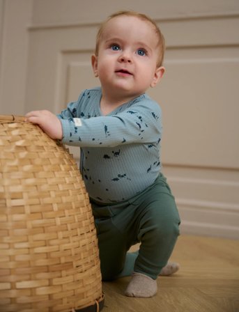 Fixoni Pants Sweat - Green - 86