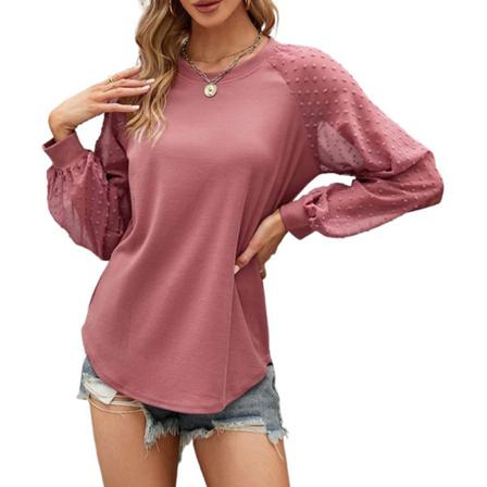 Swiss Dots Enfärgad T-shirt Med Rund Hals För Damer Chiffongtröja