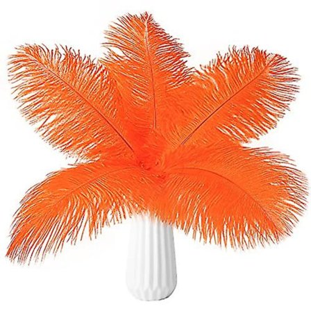 10 st strutsfjädrar naturlig bulk