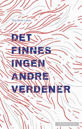 Det finnes ingen andre verdener - Bok av Stig Beite Løken - Hardback