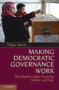 Making Democratic Governance Work