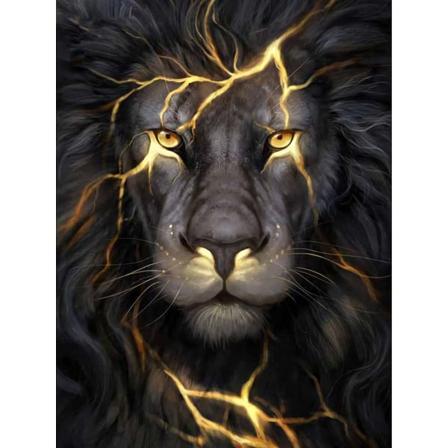 30x40cm 5D DIY timanttimaalaus täydellinen, Lion#Y-sarja, DIY timanttitimantti