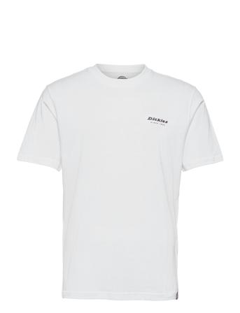 Quamba Box Tee White Dickies