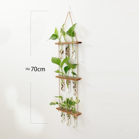 Hængende planteformeringstationer rør, væg glasplanter terrarium med træstativ formeringsstation vaser reagensglas til planter formerer H