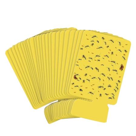 Genopfyldningskit til flyvefælde, indendørs stik-i flyvefælde genopfyldningsklæbende kort, nem at bruge flyvende([HK])