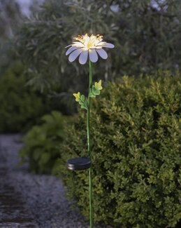 Solcelledekoration Daisy Præstekrave Hvid