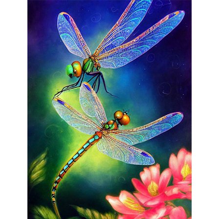 30 x 40 cm, øyenstikker Diamantmaleri Broderi Diamantmaleri