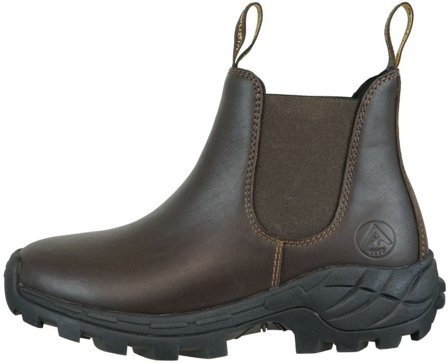 Avignon Coober Jodhpurs Läder Dark Brown