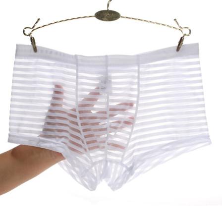 Män Boxer Underkläder Boxers Sexiga Stripe Mesh Transparenta Byxor