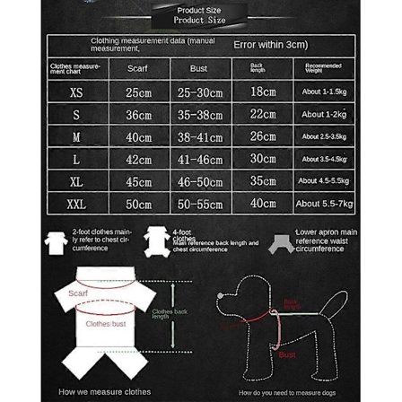 Kæledyrstøj Transparent Tobenet Farverig Vandtæt Regntøj til Udendørs Brug[PL]