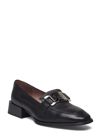 C-6803 Black Wonders
