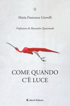 Come quando c'è luce Maria Francesca Giovelli