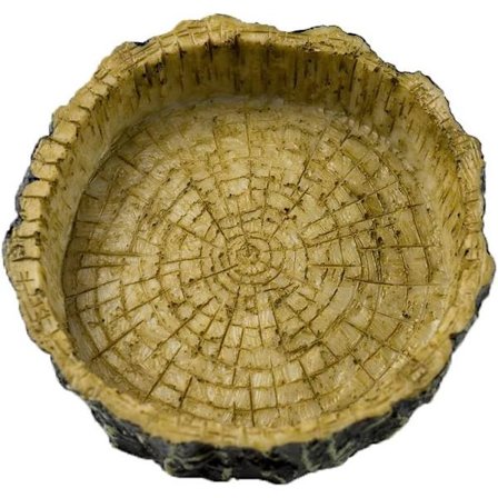 Naturlig reptilskål i harpiks med trebark.