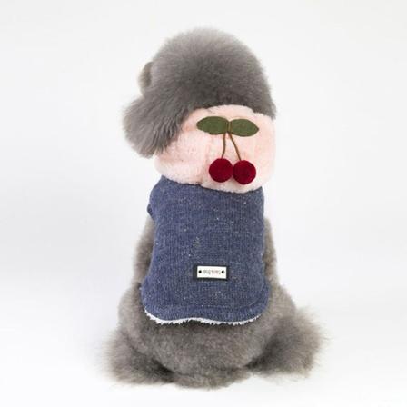 Hundkattkläder Fyrbenta Teddy Bichon Vinterhuva bomull Vadderad kappa Dark gray XXL