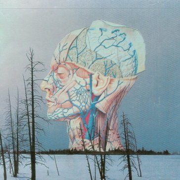 Songs for a dead pilot Low