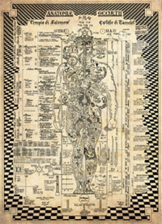 Anatomiae Occultii. Anatomia Occulta (poster)