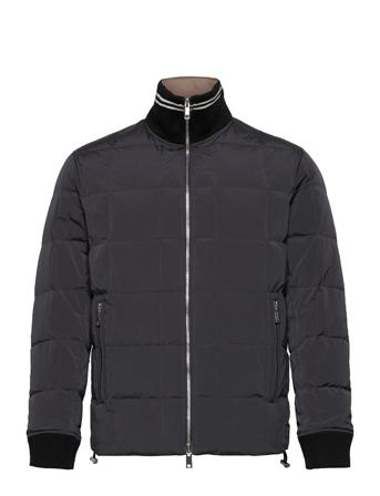 Rector Pa Sq.peak Te Black Theory