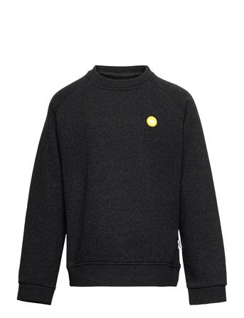 Lars Crew Recycled Sweatshirt Trøje Sort Kronstadt