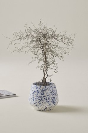 Jotex - Potte, Diameter 18 Cm Hvit/blå - BELLADONNA - Kjøp Krukker hos Jotex