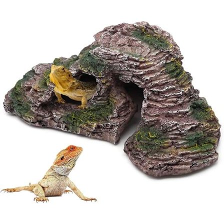 Reptilskjulested, skjeggagam, gekko, slange skjulested, repti