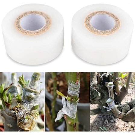 3cm*6.5cm 120m Frukttre Planteskole Planting Tape Biologisk Nedbrytbar Fuktbarriere Strekkbar Transparent Blomsterfilm (2stk