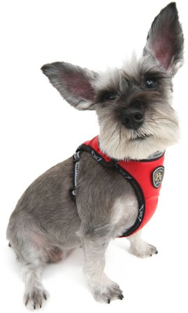 Puppy Angel - Active Harness Beige - Hundsele