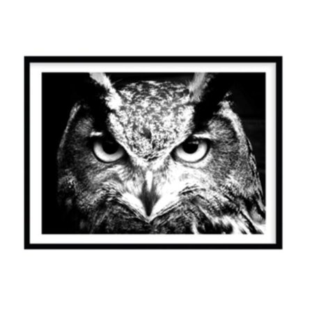 Poster Uggla svart/vit A4