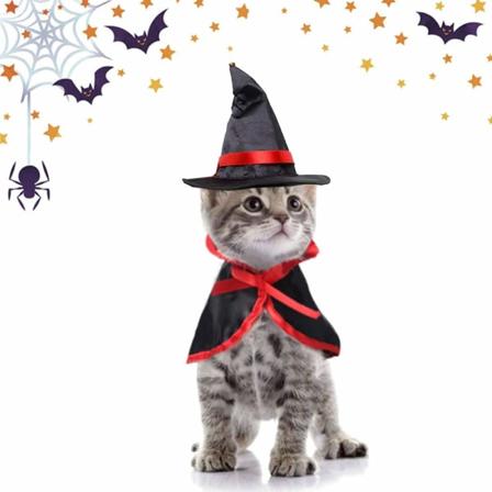 Kat Halloween Kostume, Heksehat og Troldmandskabe Kostume til Katte og Små Hunde Halloween Dekoration til Cosplay Fest