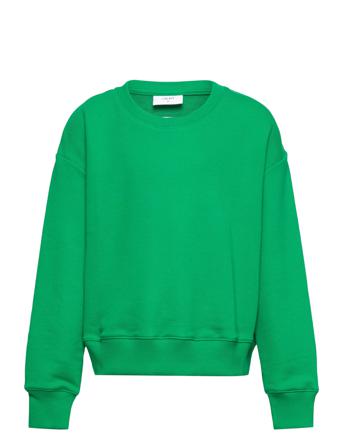 Our L Crew Sweat Sweat-shirt Tröja Grön Grunt