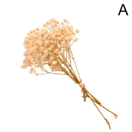 Riktiga blomma små naturliga torkade blommor Bukettpress dekorativ white One-size