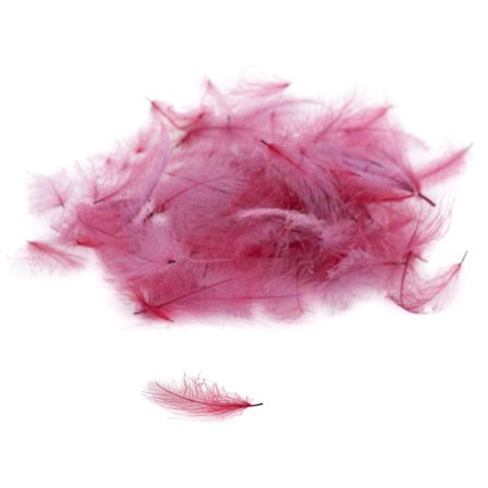 Premium CDC - Purple Pink