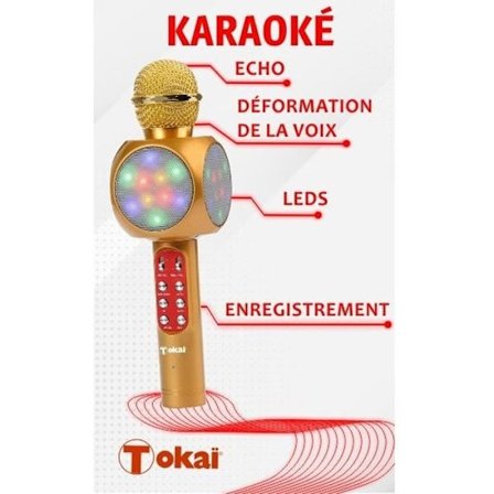 (Gull) Karaoke Mikrofon Høyttaler med LED-lys - Opptak - Stemmeskifter - Gull - Tokaï