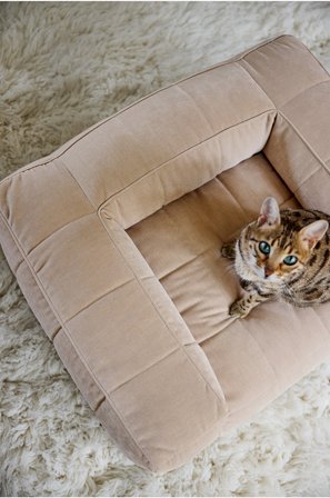 Jotex - Hunde-/katteseng sandfarget - MEDFORD - Kjøp Hundeseng/katteseng hos Jotex