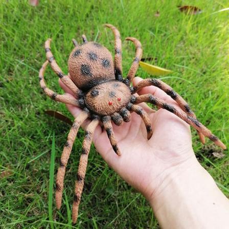 Uhyggelig naturtro falske edderkopper Cricket marihøne Gresshoppe Insektsimuleringsmodell Leker Simulering Wildlife Model Ornamenter