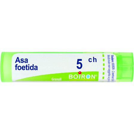 Boiron Asa Foetida 05Ch Tubo 80 Granuli 4g
