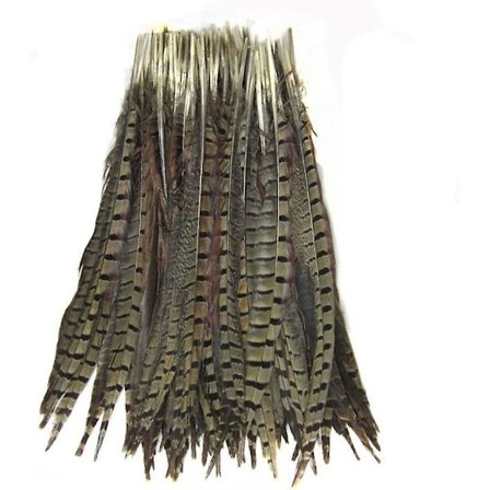 Set med 10 st naturfärgade fasanstjärtfjädrar 12-14 tum DIY-dekoration (naturlig)