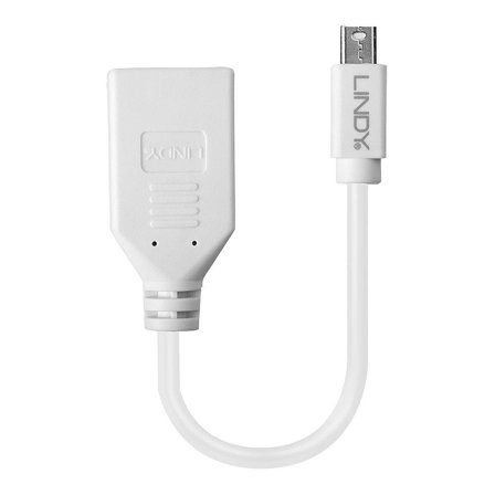 Lindy DisplayPort-adapter - Mini DisplayPort til DisplayPort - 15 cm