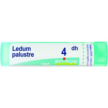 Boiron Ledum Palustre Granuli 04Dh Tubo 4g