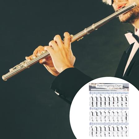 Flöjtgrepp ackordtabell nybörjare student övning undervisningshjälpmedel instrumenttillbehör S(28x21cm)