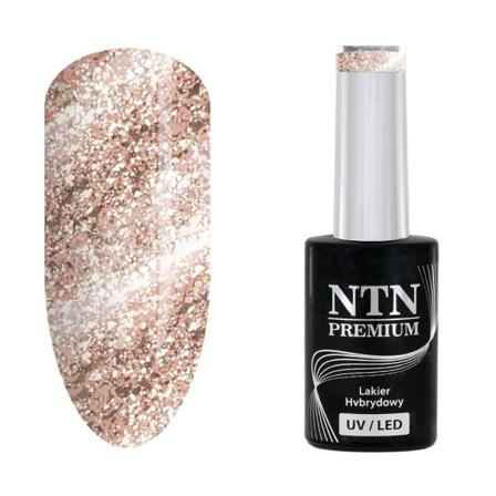 Ntn Premium - Gellack - Celebration - Nr167 - 5g Uv-gel/led Guld