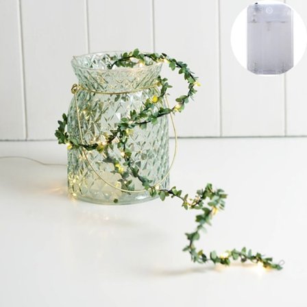 LED String Lights Fairy Lights 5MC C