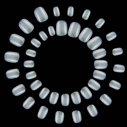 2 påsar Short Full Cover Fake Nails,Clear Plastic Artificial