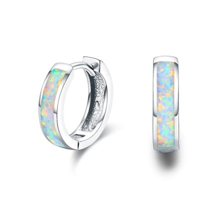 Örhängen med ring 925 Sterling Silver Opal Örhängen Små Ringar