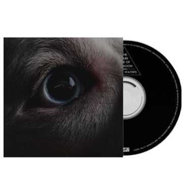 The dark side of the moon redux Roger Waters