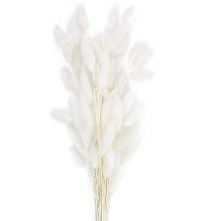 60 stilker naturlige tørkede Lagurus Ovatus blomster ekte bukett med kaninhale tørkede Pampas blomster De