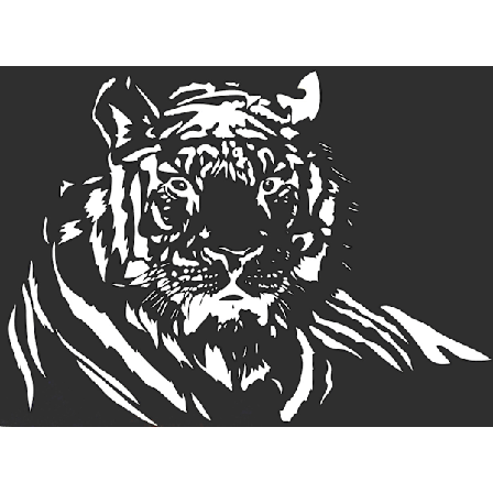 Väggdekor - Tiger Ex-STOR