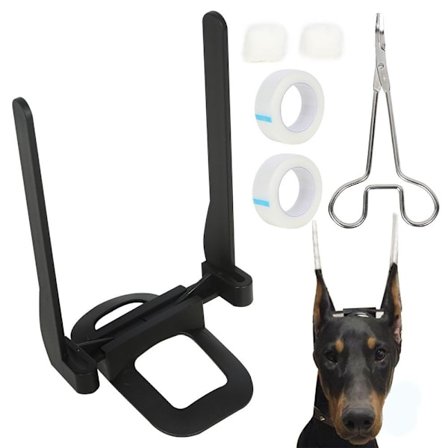 Dog Ear Stand Up Doberman Ear Stand Up A A