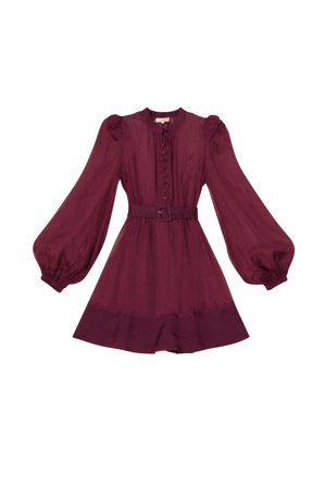 Organza Mini Dress Burgundy S